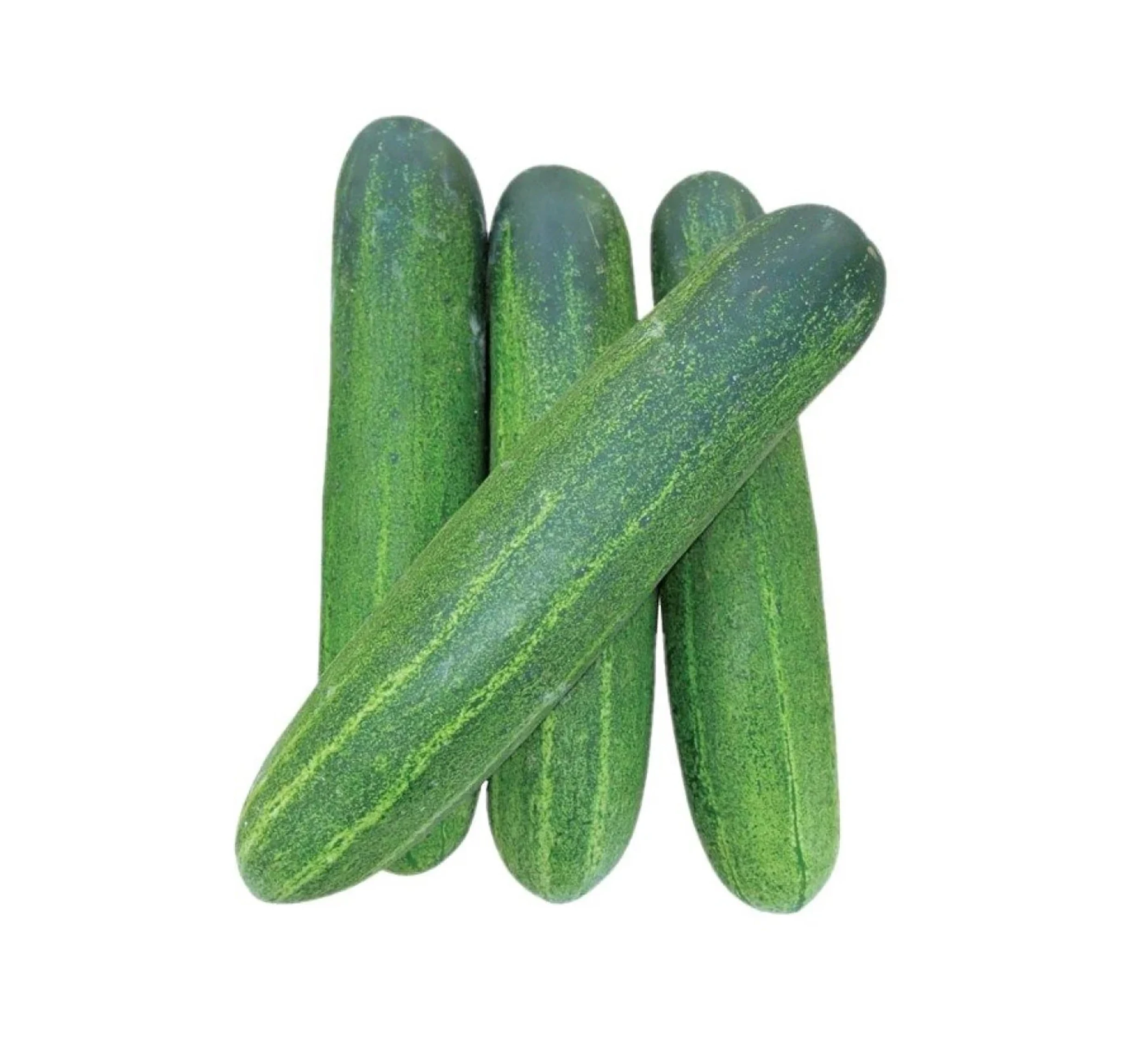 CUCUMBER