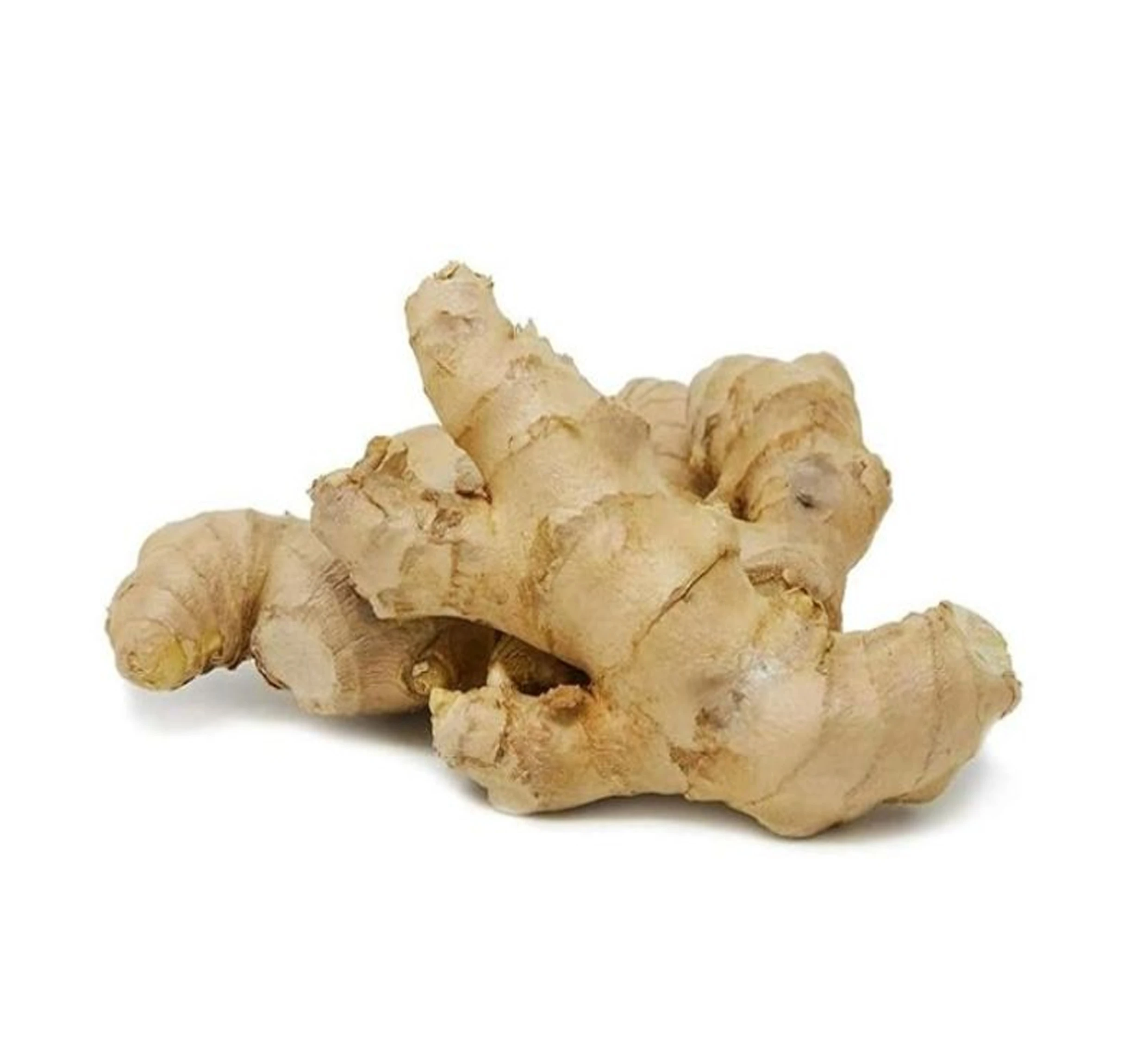 GINGER