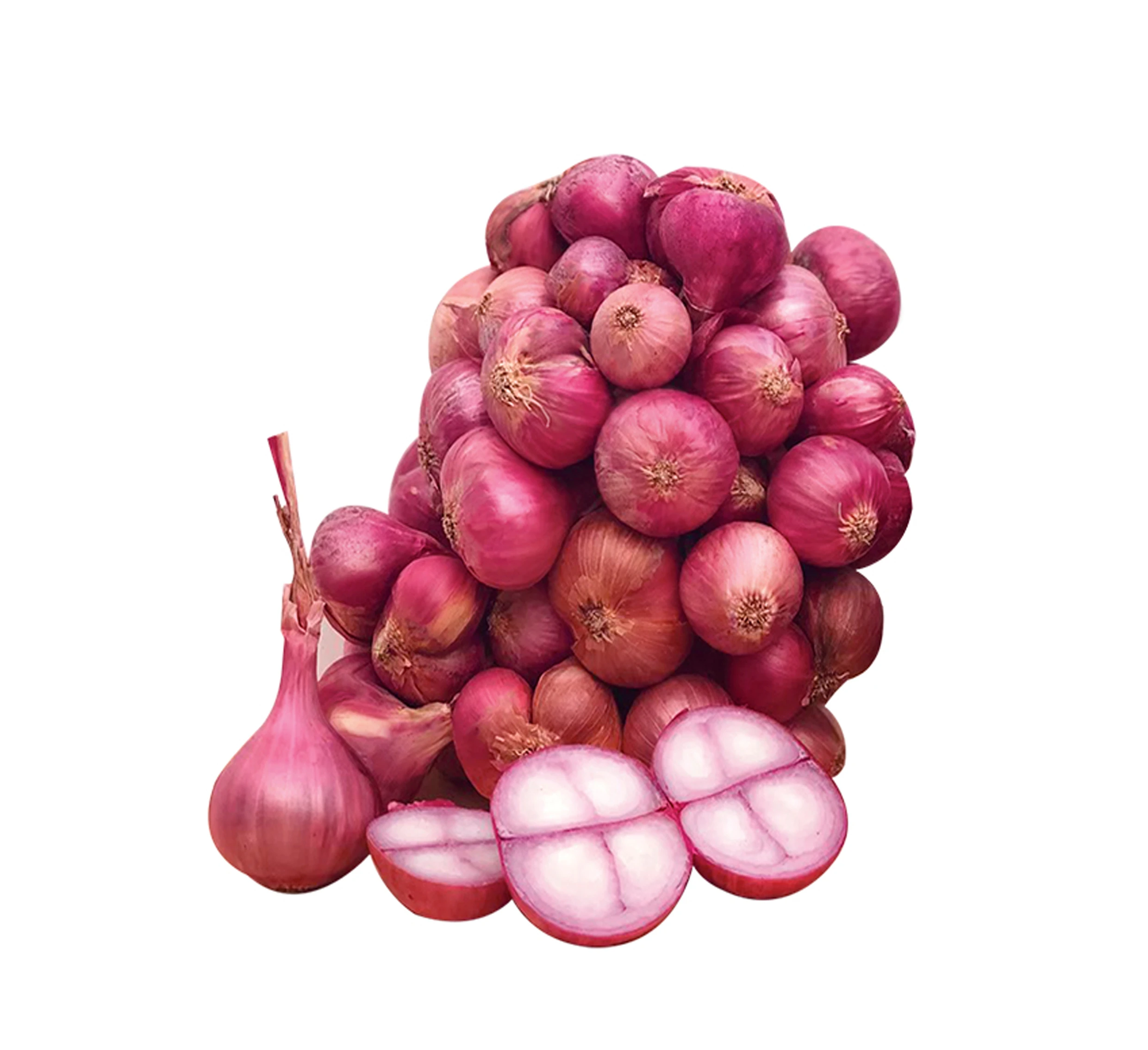 SAMBAR ONION
