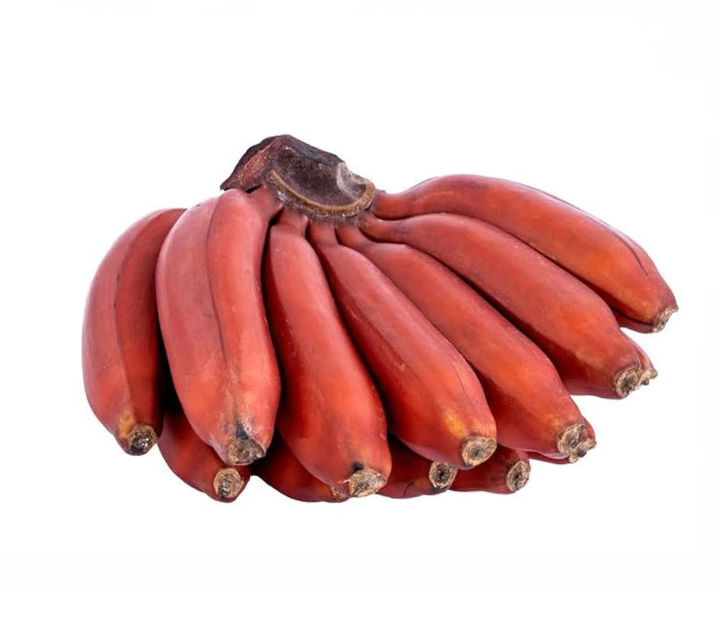 RED BANANA