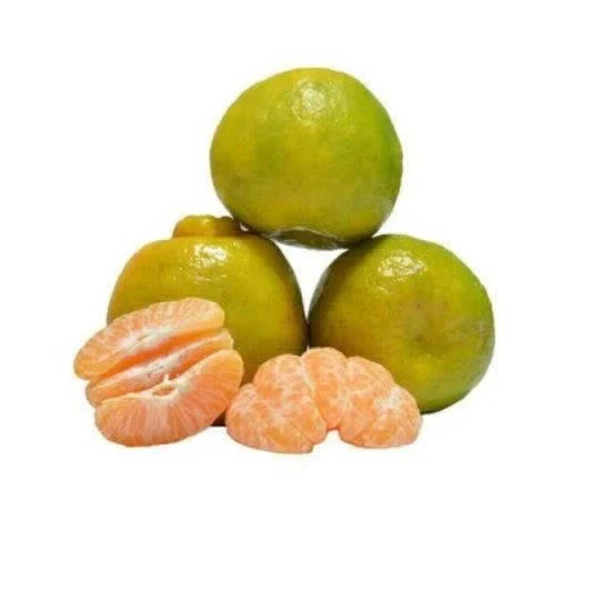 KAMALA ORANGE